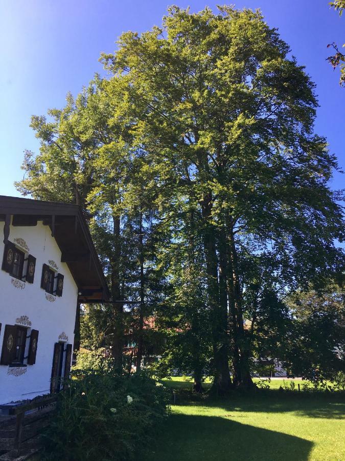 Traumhaftes Ferienhaus Direkt Am Tegernsee Rotta Exteriér fotografie